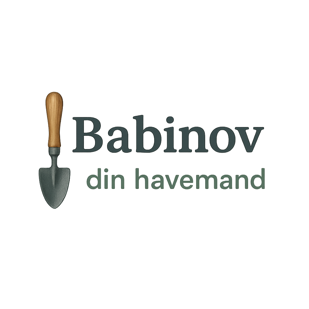 Babinov Logo